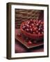 Cornel Cherries-Vladimir Shulevsky-Framed Photographic Print