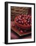 Cornel Cherries-Vladimir Shulevsky-Framed Photographic Print