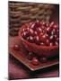 Cornel Cherries-Vladimir Shulevsky-Mounted Photographic Print