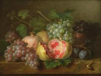 Still Life of Fruits and Flowers in a Wicker Basket on a Ledge.-Cornelis van Spaendonck-Framed Giclee Print