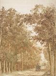 Trail through a forest, c.1638-42-Cornelis Vroom-Framed Giclee Print