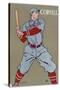 Cornell Baseball-null-Stretched Canvas