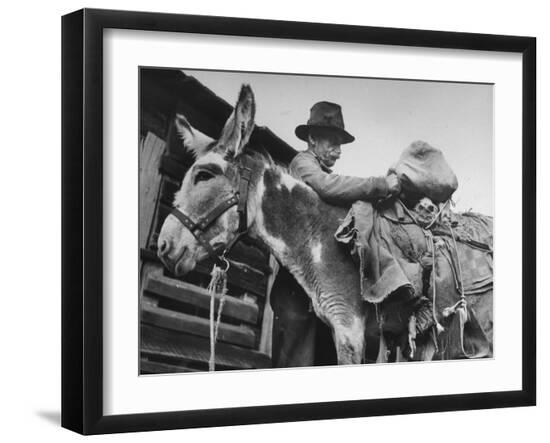 Premium Photographic Print, , large