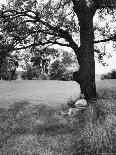 Hyde Park in Winter-Cornell Capa-Photographic Print