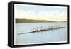 Cornell Crew on Cayuga Lake, Ithaca, New York-null-Framed Stretched Canvas