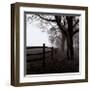 Corner Fence-Harold Silverman-Framed Art Print