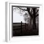 Corner Fence-Harold Silverman-Framed Art Print