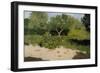 Corner of a Garden with Nasturtiums, 1891-Richard Roland Holst-Framed Art Print