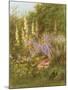 Corner of a Garden-Helen Allingham-Mounted Giclee Print