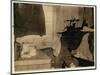 Corner of a Shack Used by Pickers on Theodore Budd's Bog-Lewis Wickes Hine-Mounted Photographic Print