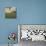 Corner of House-Clive Nolan-Photographic Print displayed on a wall