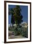 Corner of the Garden, Alcazar, Sevilla, 1910-Joaquin Sorolla y Bastida-Framed Giclee Print