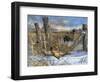 Corner Post-Kevin Daniel-Framed Art Print