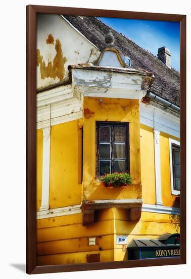 Corner Window With Flowers, Szentendre, Hungary-George Oze-Framed Photographic Print