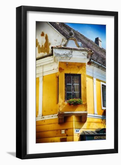 Corner Window With Flowers, Szentendre, Hungary-George Oze-Framed Photographic Print