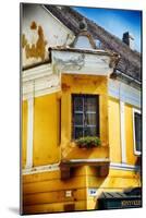 Corner Window With Flowers, Szentendre, Hungary-George Oze-Mounted Photographic Print