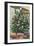 Cornerways' Christmas Tree-Christine McKechnie-Framed Giclee Print