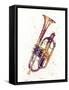 Cornet Abstract Watercolor-Michael Tompsett-Framed Stretched Canvas