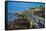 Cornet Castle, Saint Peter Port, Guernsey, Channel Islands, United Kingdom-Michael Runkel-Framed Stretched Canvas