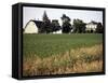 Cornfarm, Hudson, Illinois, Midwest, USA-Ken Gillham-Framed Stretched Canvas