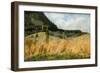 Cornfield, 1885 (Oil on Canvas)-Leon Wyczolkowski-Framed Giclee Print