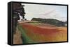 Cornfield at Wiston-By-Nayland, Suffolk, C.1932 (Oil on Canvas)-John Northcote Nash-Framed Stretched Canvas