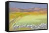 Cornfield, Isle of Coll, 1971-Isabel Alexander-Framed Stretched Canvas