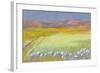 Cornfield, Isle of Coll, 1971-Isabel Alexander-Framed Giclee Print