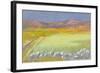 Cornfield, Isle of Coll, 1971-Isabel Alexander-Framed Giclee Print