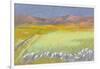 Cornfield, Isle of Coll, 1971-Isabel Alexander-Framed Giclee Print