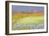 Cornfield, Isle of Coll, 1971-Isabel Alexander-Framed Giclee Print