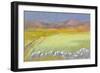 Cornfield, Isle of Coll, 1971-Isabel Alexander-Framed Giclee Print