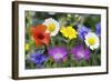 Cornfield Weed Flowers-Bob Gibbons-Framed Premium Photographic Print