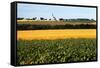Cornfield with Church in Background-null-Framed Stretched Canvas