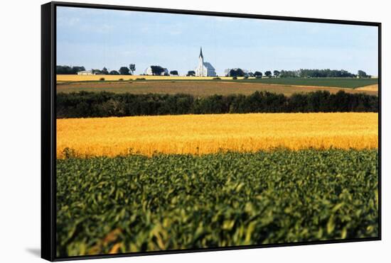 Cornfield with Church in Background-null-Framed Stretched Canvas