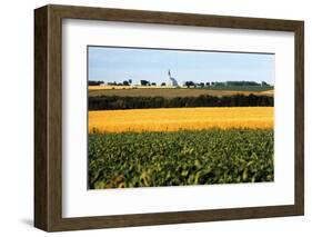 Cornfield with Church in Background-null-Framed Photographic Print