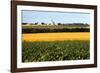 Cornfield with Church in Background-null-Framed Photographic Print