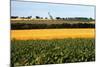 Cornfield with Church in Background-null-Mounted Photographic Print