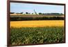 Cornfield with Church in Background-null-Framed Photographic Print