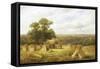 Cornfield-George Turner-Framed Stretched Canvas