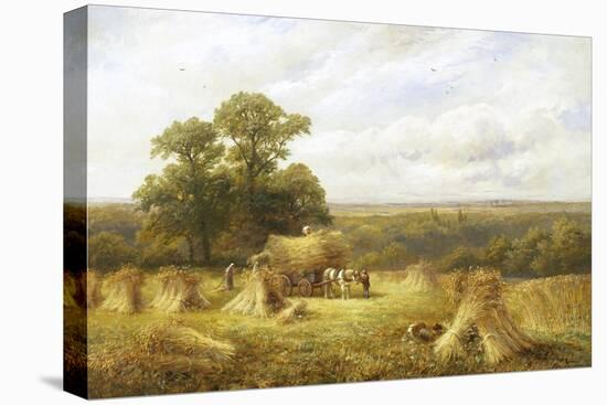 Cornfield-George Turner-Stretched Canvas