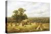 Cornfield-George Turner-Stretched Canvas