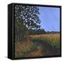 Cornfield-Anthony Amies-Framed Stretched Canvas