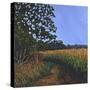 Cornfield-Anthony Amies-Stretched Canvas