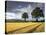 Cornfields, Exe Valley, Devon, England, United Kingdom, Europe-Jeremy Lightfoot-Stretched Canvas