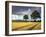 Cornfields, Exe Valley, Devon, England, United Kingdom, Europe-Jeremy Lightfoot-Framed Photographic Print