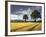 Cornfields, Exe Valley, Devon, England, United Kingdom, Europe-Jeremy Lightfoot-Framed Photographic Print