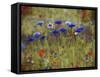 Cornflower Blue painting-Helen White-Framed Stretched Canvas