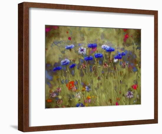 Cornflower Blue painting-Helen White-Framed Giclee Print