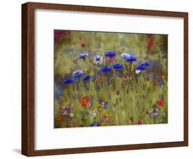 Cornflower Blue painting-Helen White-Framed Giclee Print